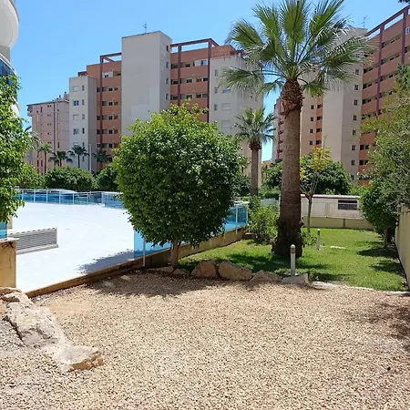 Noemar Villajoyosa